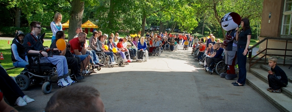Tērvete 2013