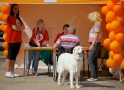 Vasaras sporta spēles cilvēkiem ratiņkrēslos (foto pateicoties www.bukss.lv)