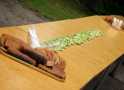 Vasaras sporta spēles cilvēkiem ratiņkrēslos (foto pateicoties www.bukss.lv)