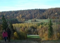 Siguldas pusmaratona bildes