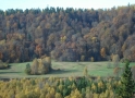 Siguldas pusmaratona bildes