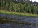Jāņu svinības Daugavas lokos