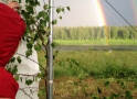 Jāņu svinības Daugavas lokos