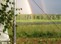 Jāņu svinības Daugavas lokos
